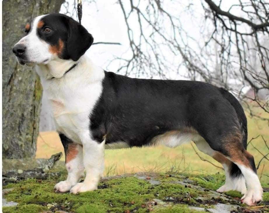 307720413_650796073051613_7356182177398068742_n